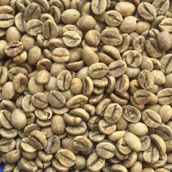 Percha Coffee Beans