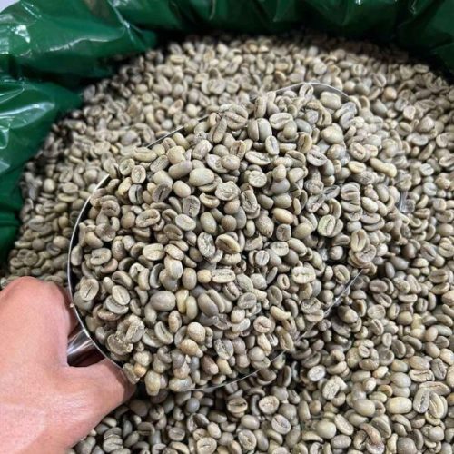 Percha Coffee Storage